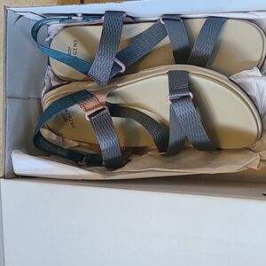 Earth Origins Veda 11